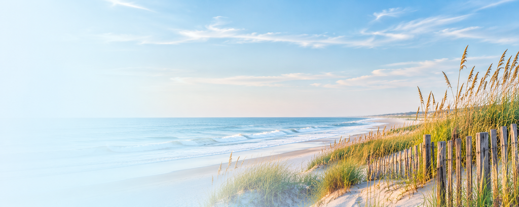 pastel coastal dunes and quiet shoreline